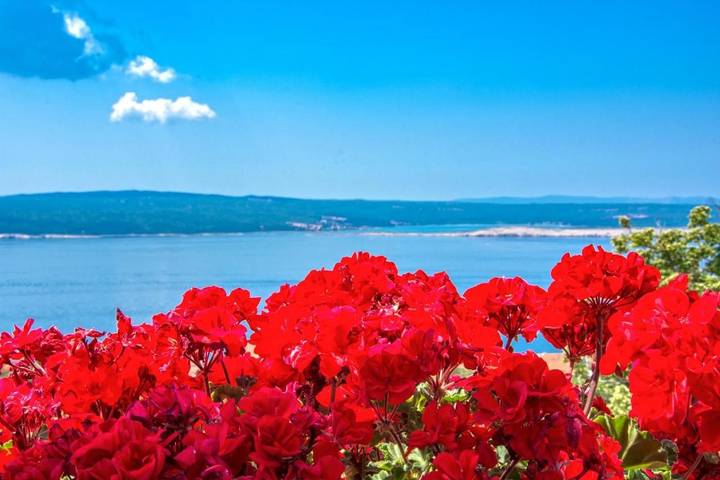 BnB für 3 Personen, mit Ausblick und Garten, mit Haustier in Kroatien