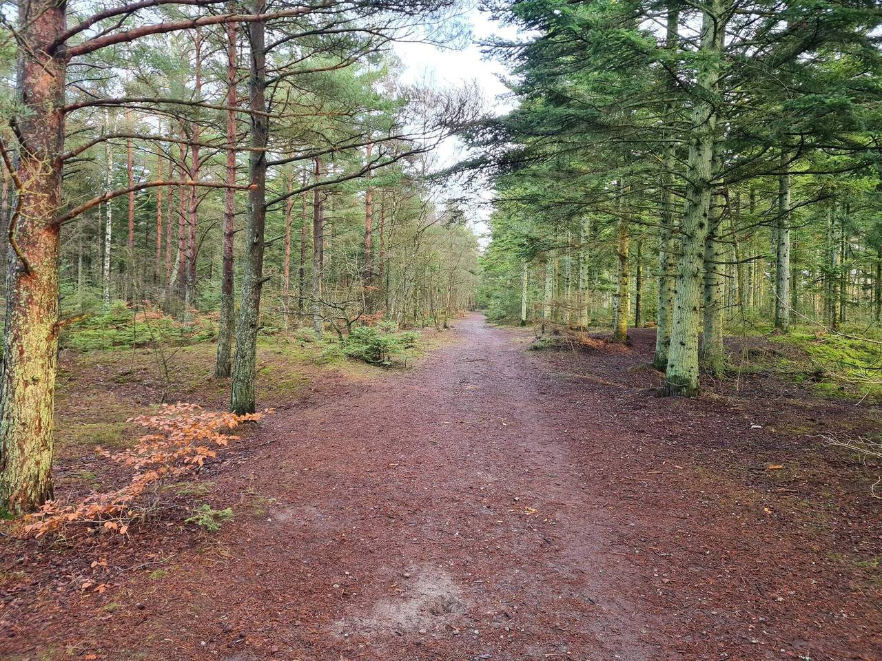5 Personen Ferienhaus in Ålbæk in Ålbæk, Nordostjütland