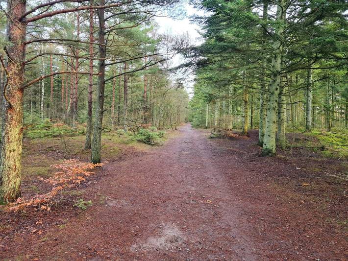 Ferienhaus für 5 Personen, mit Terrasse und Garten, kinderfreundlich in Aalbæk - 4
