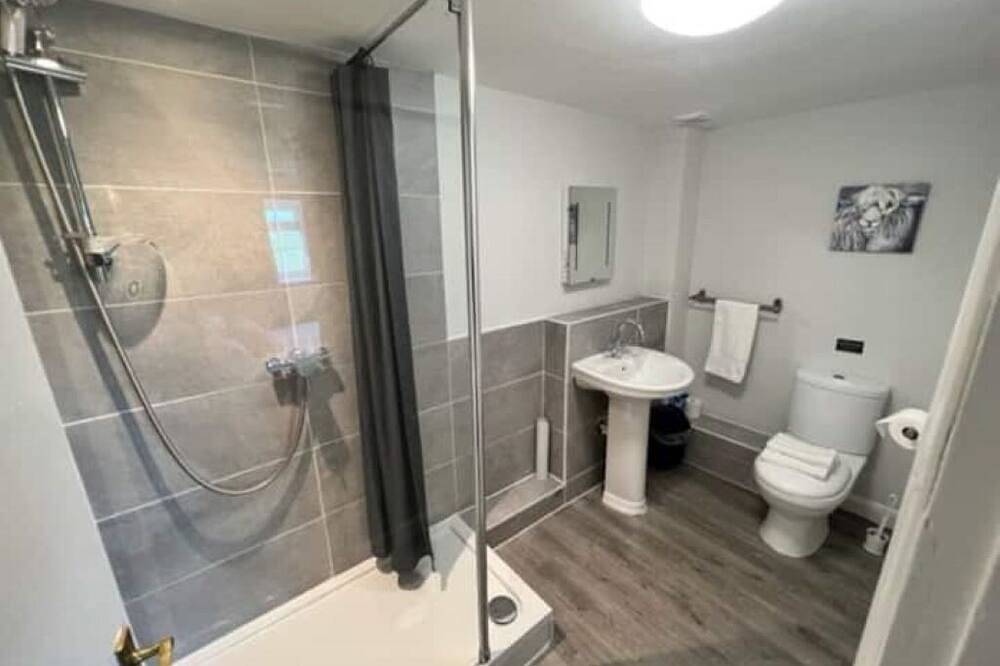 Chaffinch at Moorhead Country Holidays near Clovelly North Devon in Devon