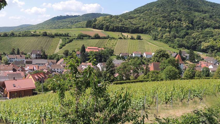 Ferienwohnung für 3 Personen, mit Garten und Sauna in Südliche Weinstraße - 3
