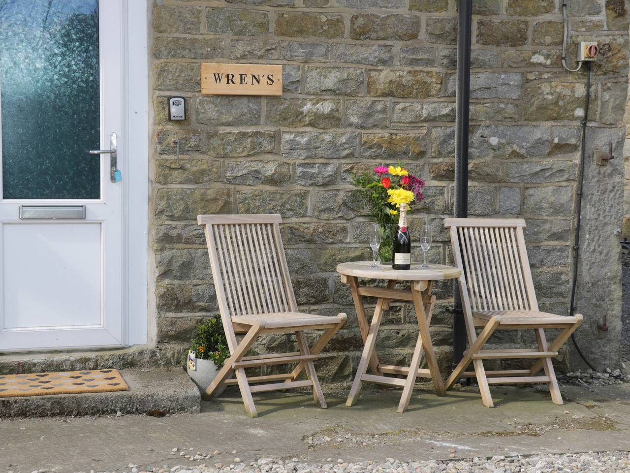Wren in North York Moors National Park