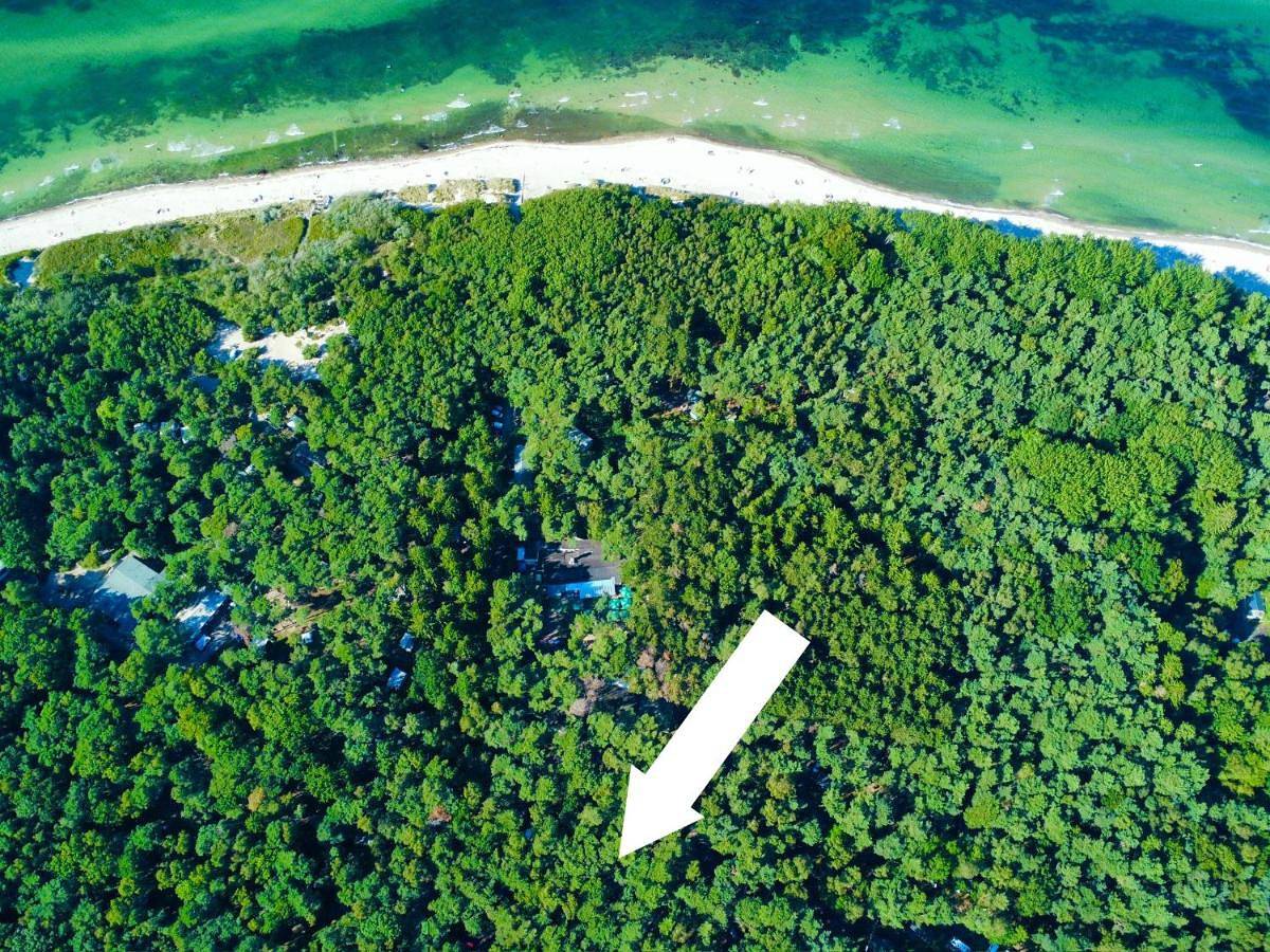Campingplatz auf Rügen - Stellplatz für Wohnmobile , Wohnwagen , auch zum Zelten - in direkter Nähe zum Naturstrand -Natur Pur - Feriensiedlung Schwalbennest in Bakenberg, Dranske