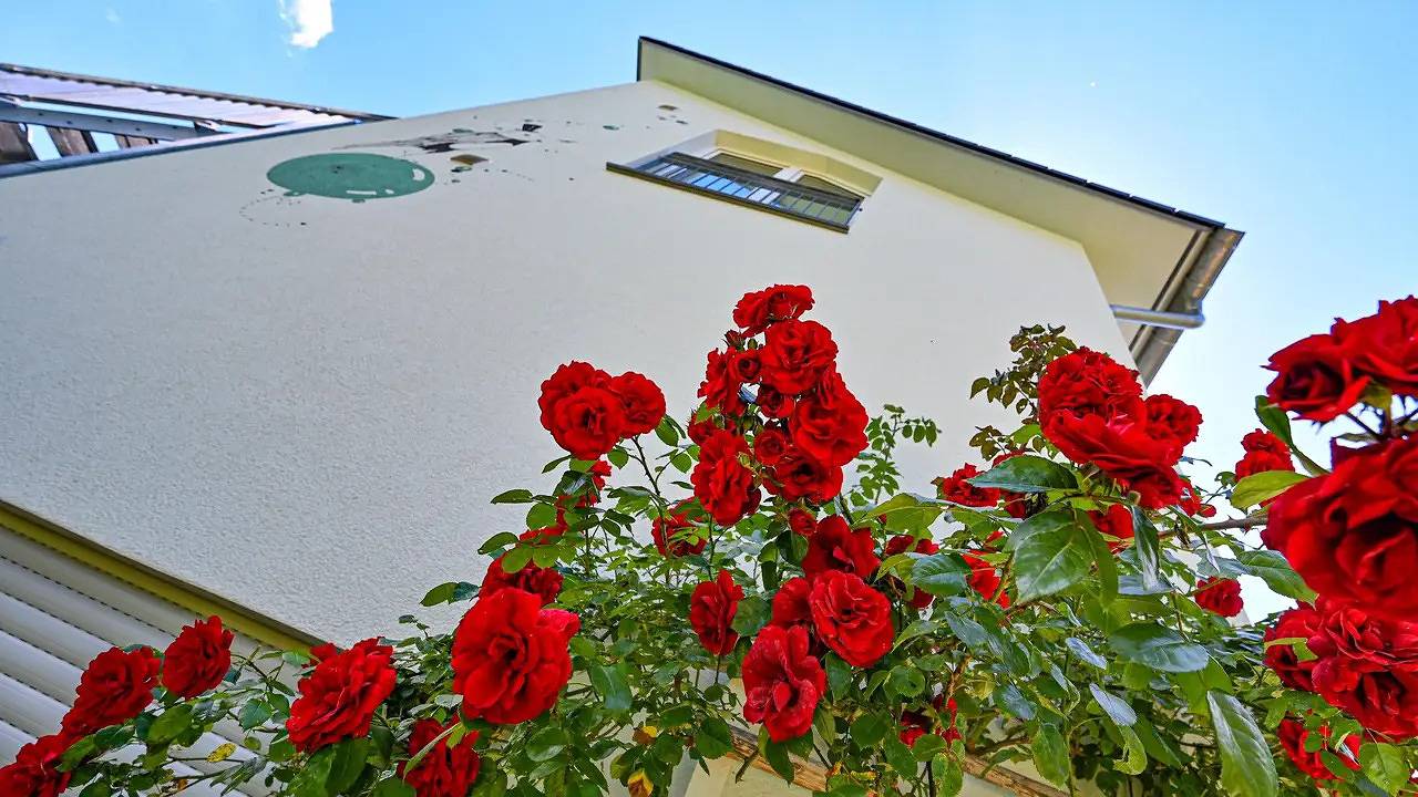 Ganze Ferienwohnung, Ferienwohnung für 4 Personen (37 m²) in Friedrichshafen in Friedrichshafen, Region Bodensee-Oberschwaben