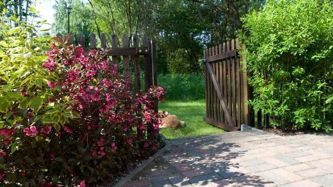 Ganze Ferienwohnung, Ferienwohnung für 4 Personen (40 m²) in Märkische Heide in Alt Schadow, Märkische Heide