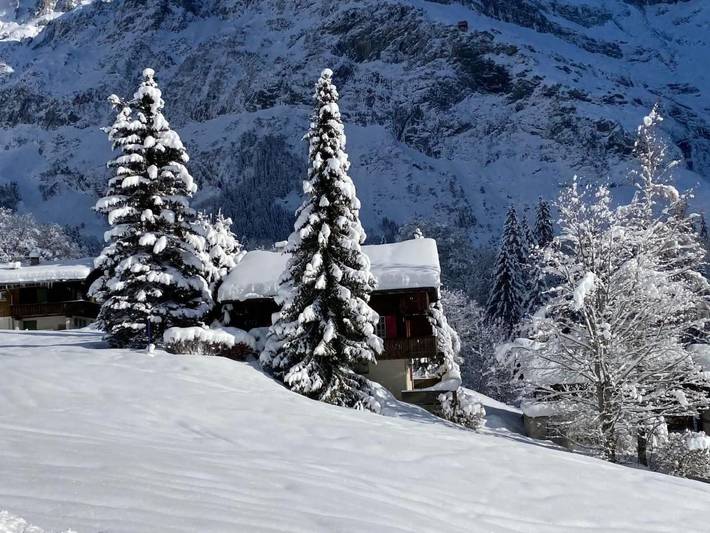 Chalet pour 5 personnes, avec balcon à Grindelwald - 2