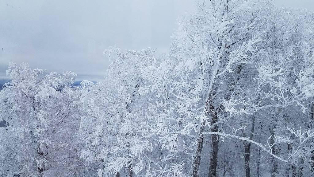 Catskill Bungalow - Tiny House Urlaub für Paare, Windham & Hunter Ny, Skifahren in Greene County (NY)