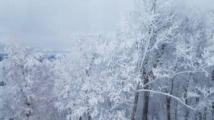 Blockhütte für 2 Personen in New York State, Bild 1