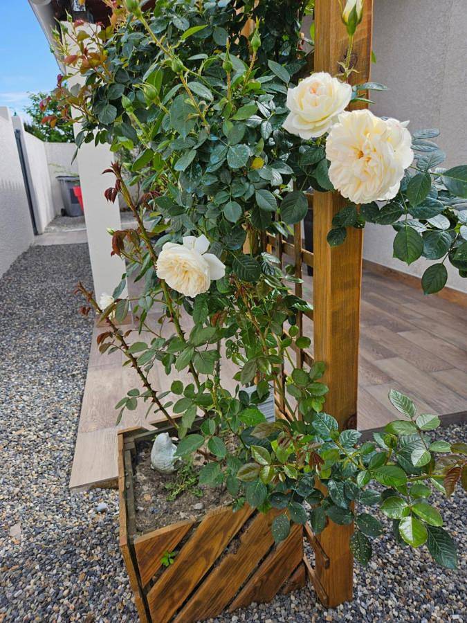 Location de vacances pour 5 personnes, avec vue et jardin à Villemoustaussou - 4