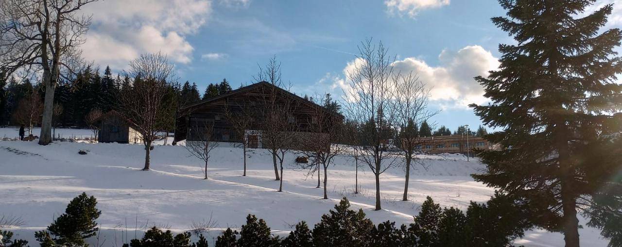 Ganze Wohnung, Apartment in Philippsreut, Šumava Mountains