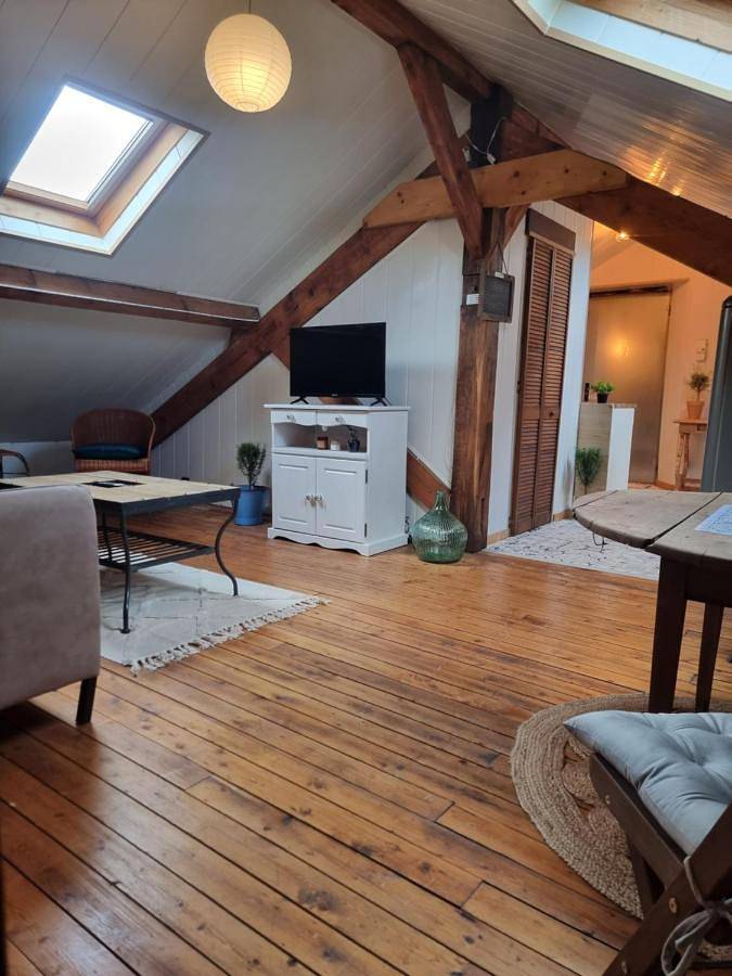Appartement entier, One-Bedroom Apartment in Bétheniville, Marne