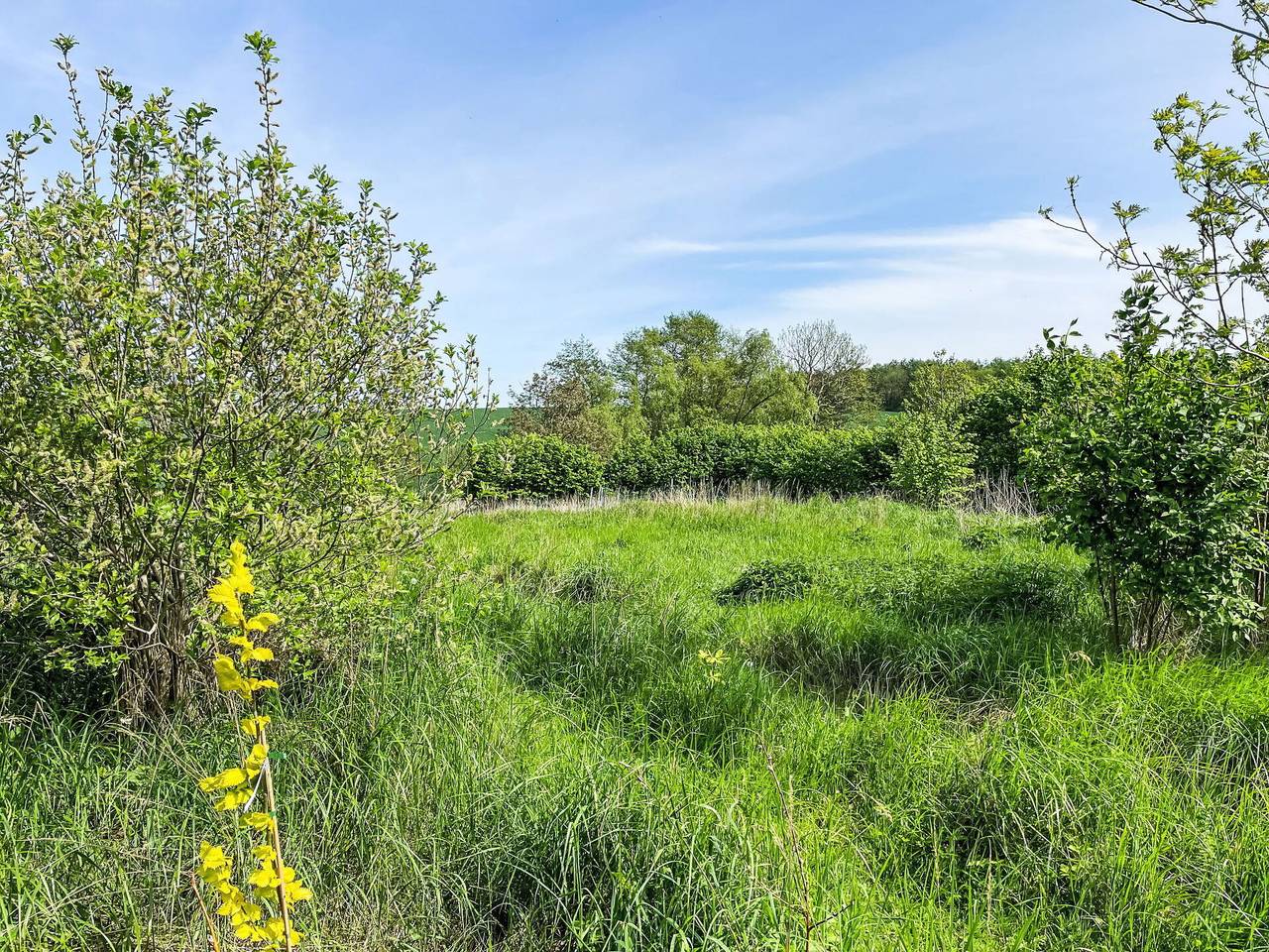 Eschengrund - Eschengrund 500.1 in Carinerland, Neubukow-Salzhaff