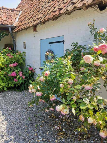 Location de vacances pour 2 personnes, avec jacuzzi ainsi que sauna et jardin à Wirwignes - 4