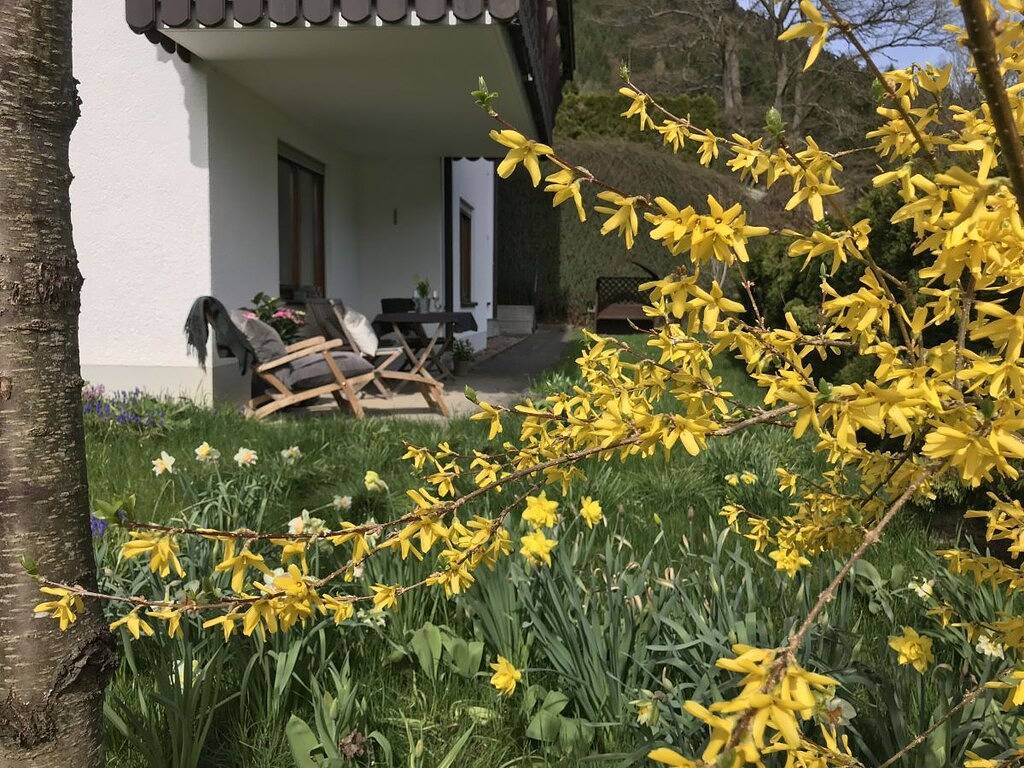 Appartement de vacances avec 1 chambre in Alpirsbach, Vallée du Kinzig
