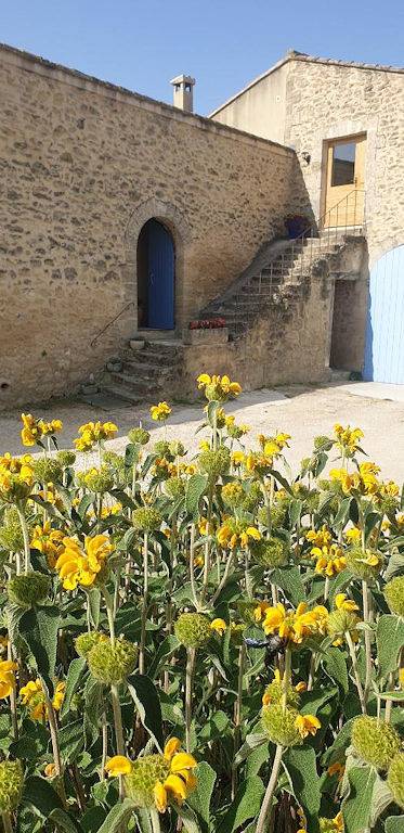 Chambre d’hôte pour 4 personnes, avec jardin dans les Bouches-du-Rhône - 3