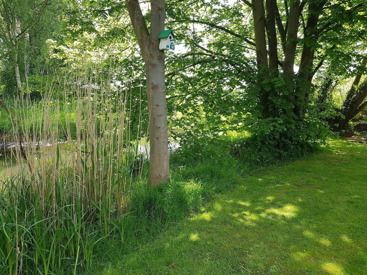 Ganze Ferienwohnung, Ferienwohnung „An der olen Au“ - Appartement/Fewo, Dusche, Wc in Winsen (Luhe), Nordheide