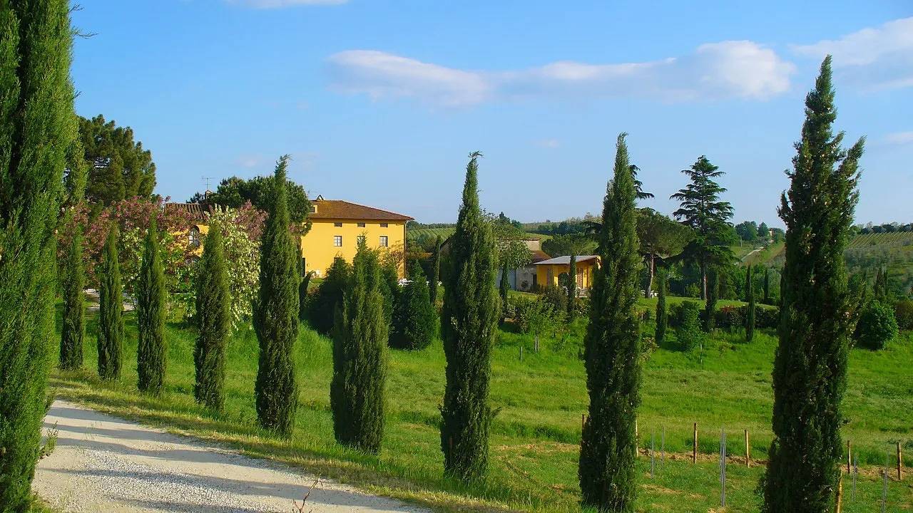 Ferienhaus für 5 Personen (70 m²) in Vinci in Vinci, Provincia de Firenze