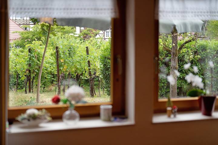 Appartement entier, Appartement 'Am Rebhang' avec terrasse privée, jardin et Wi-Fi in Sasbachwalden, Forêt-Noire centrale