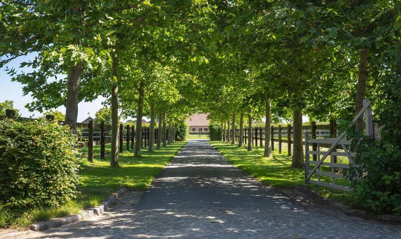 Location de vacances pour 2 personnes, avec jardin ainsi que vue et terrasse à Zedelgem - 2