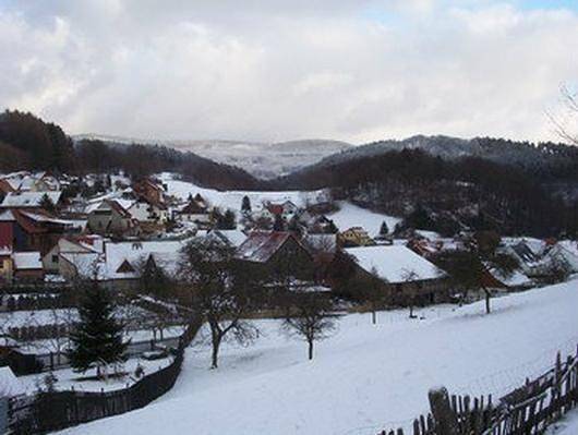 Ganze Ferienwohnung, Gemütliche Wohnung mit Terrasse, Grill und Garten in Brotterode-Trusetal, Rennsteig