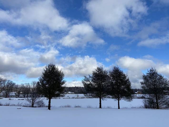 Ferienhaus für 4 Personen, mit Garten und Whirlpool sowie Terrasse, mit Haustier - 1