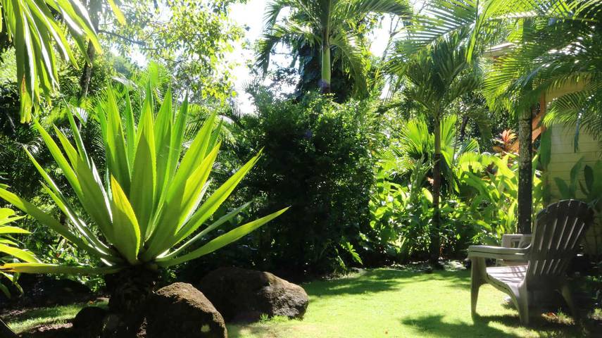 Location de vacances pour 4 personnes, avec piscine et jardin à Bouillante - 3