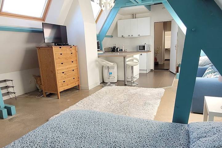 Location de vacances pour 12 personnes, avec terrasse et jardin à Neuilly-Plaisance - 3