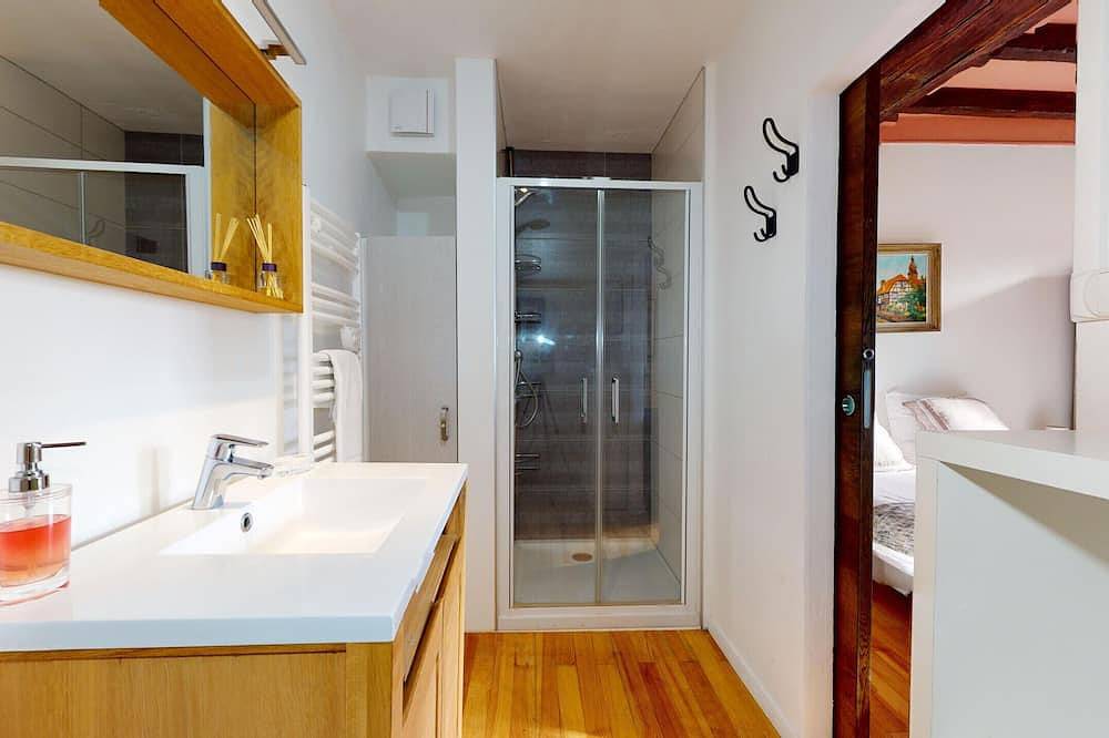 Appartement entier, Le studio bartholdi with access to lounge in Colmar, Région de Colmar