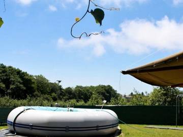 Chalet para 10 Personas en Narón, Provincia de La Coruña, Foto 4