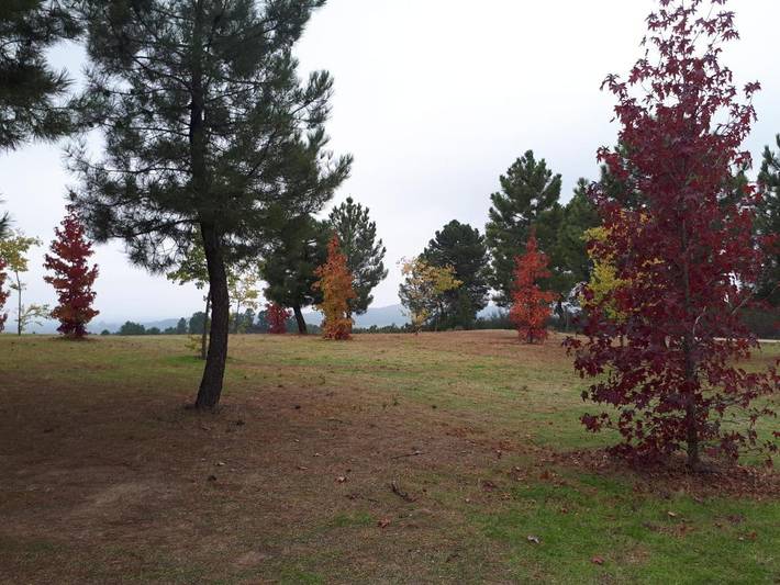 Maison d’hôte pour 16 personnes, avec jardin et piscine dans Estrémadure - 3