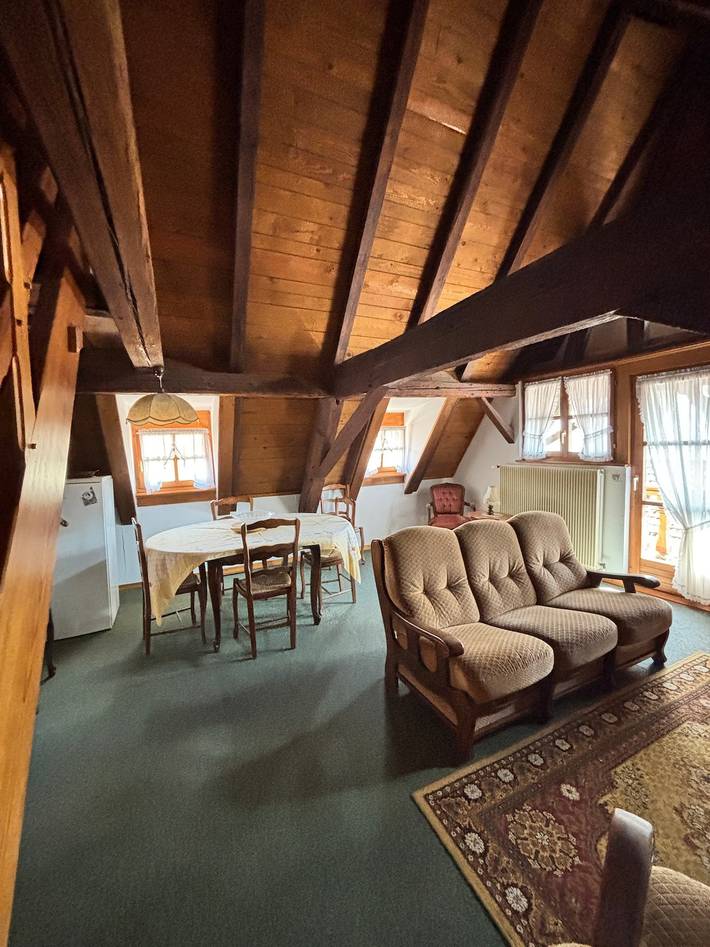 Gîte « Hanzel » avec terrasse partagée, jardin commun et Wi-Fi in CP de Minversheim, Bossendorf (Alsace)