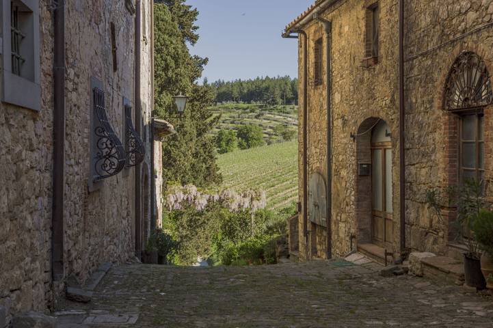 Ganze Wohnung, Il Nespolo Charming Apartment Fonterutoli - Siena, Toscana in Castellina in Chianti, Chianti