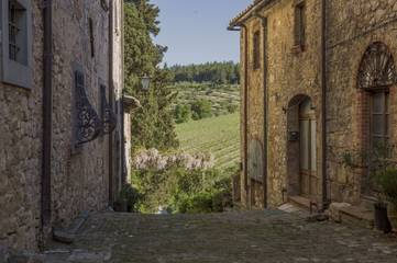 Appartamento per 4 Persone in Castellina in Chianti, Chianti, Foto 4