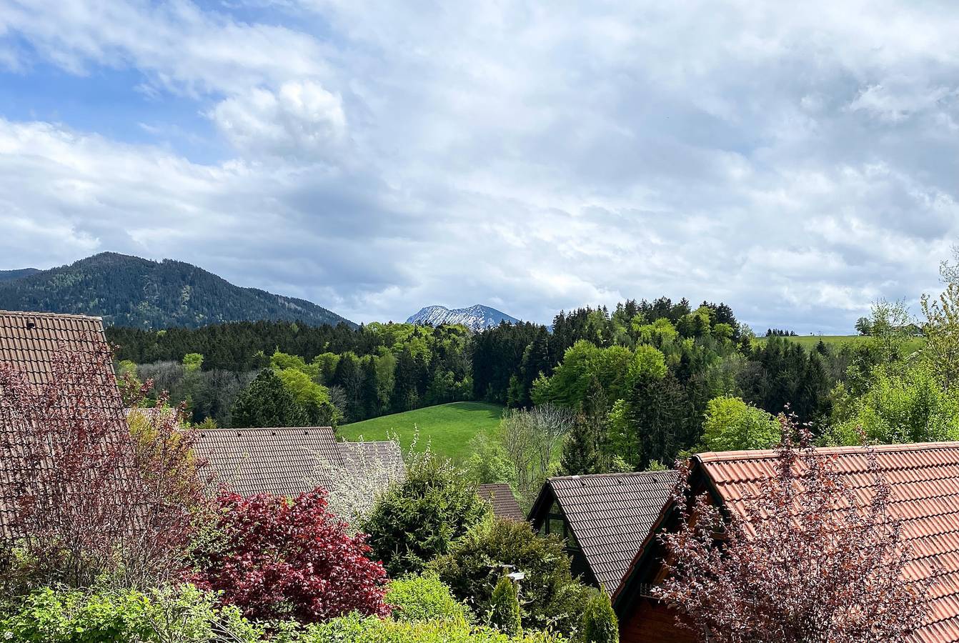 Ferienhaus Bergliebe - Ferienhaus/Sauna/Garten/gr. Balkon/Spülmaschine/Wlan in Siegsdorf, Bayerische Alpen