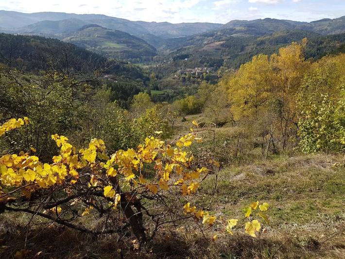 Location de vacances pour 4 personnes, avec jardin et vue, animaux acceptés à Labatie-d'Andaure - 2