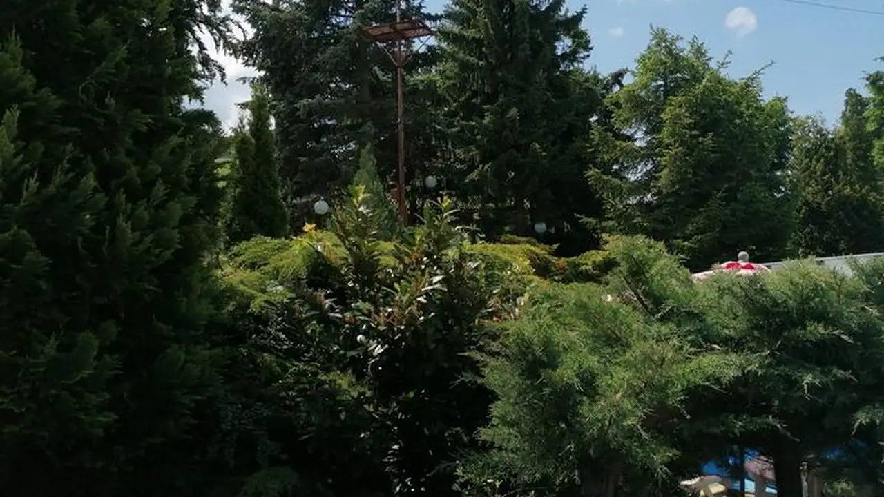 Ferienhaus für 3 Personen (48 m²) in Bad Gottleuba-Berggießhübel in Bad Gottleuba-Berggießhübel, Elbsandsteingebirge