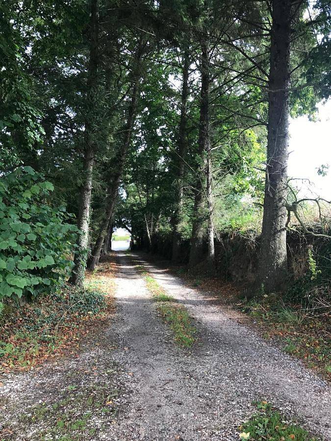 Gîte pour 2 personnes, avec jardin à Minihy-Tréguier - 4