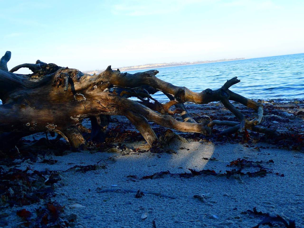 4 person holiday home in Haderslev-By Traum in Haderslev, Little Belt