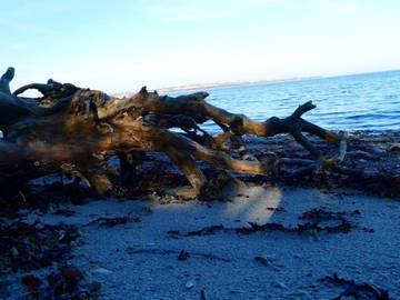 Ferieudlejning til 4 Personer i Haderslev, Lillebælt, Billede 1