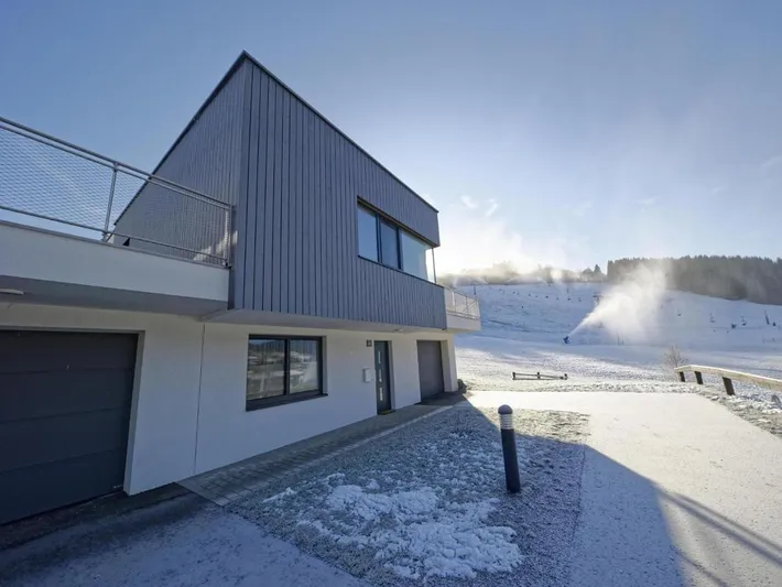 Ferienhaus für 11 Personen, mit Terrasse und Sauna sowie Garten - 1