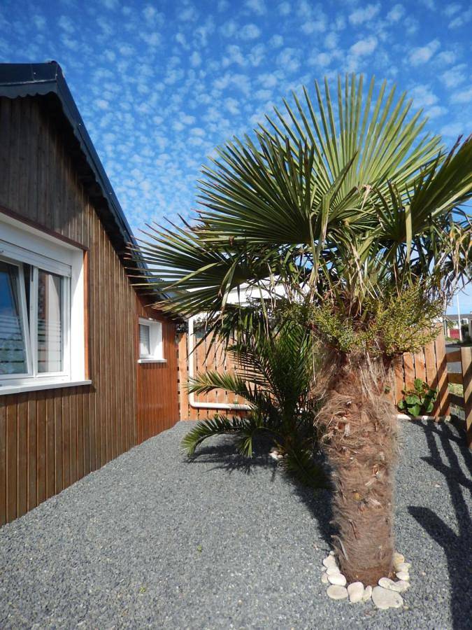Gîte pour 5 personnes, avec Terrasse ainsi que Jardin et Vue à Saint-Côme-de-Fresné