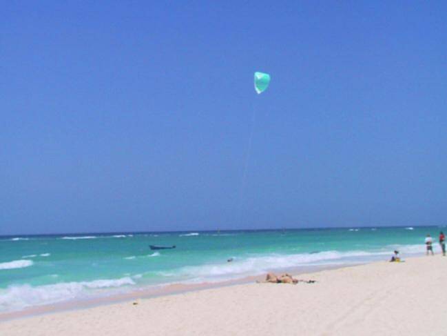 Entire apartment, Ocean Bliss Apartments in Christ Church