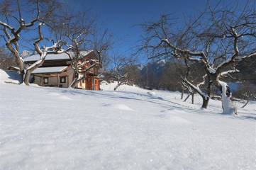 Baita per 5 Persone in Mezzano, Dolomiti Di Fiemme, Foto 3