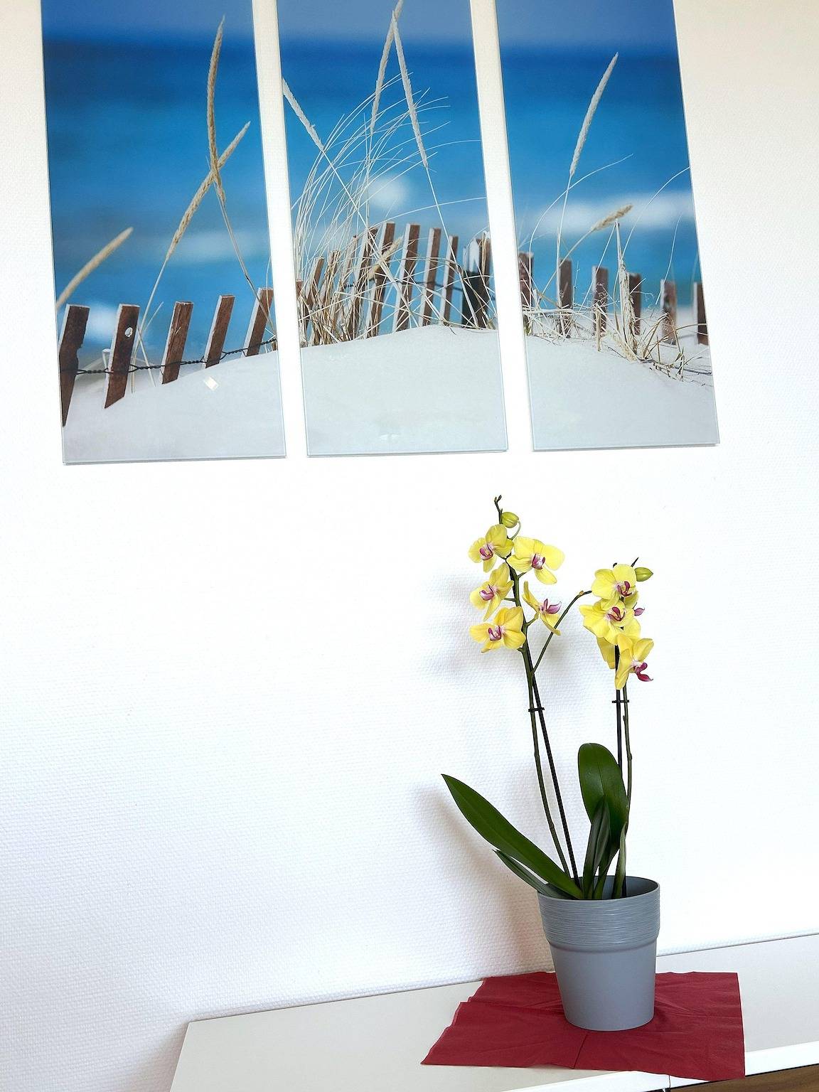 Ganze Ferienwohnung, Appartement Sölring 02 in Westerland, Sylt (Gemeinde)