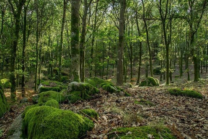 Apartamento para 8 personas, con balcón además de vistas y piscina en Oliveira de Frades