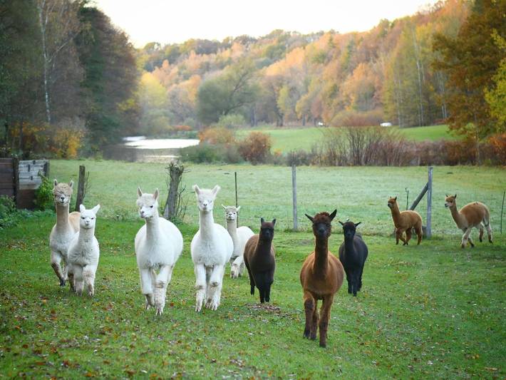 Ferienwohnung für 8 Personen, mit Balkon, kinderfreundlich - 1