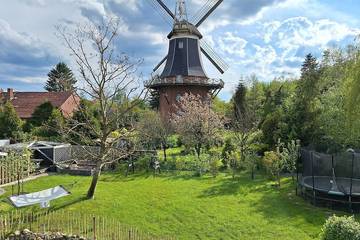 Ferienhaus für 6 Personen, mit Terrasse und Garten, mit Haustier in Weener