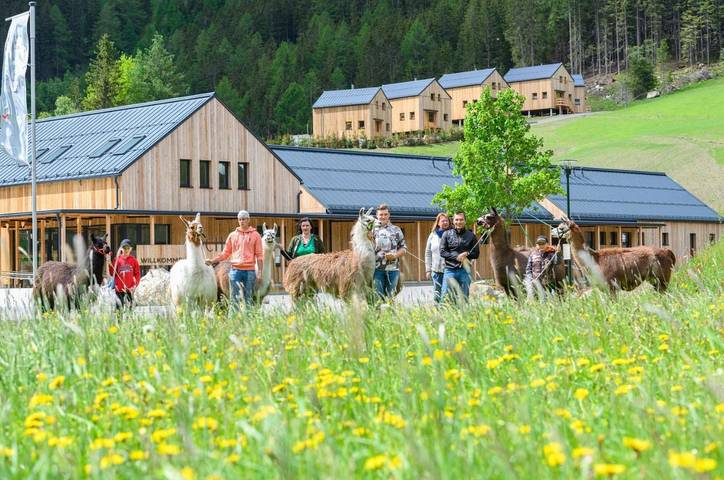 Camping für 6 Personen, mit Terrasse und Garten sowie Ausblick in Kärnten - 4