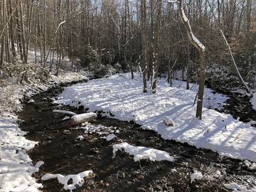 Chalet for 2 Guests in Blue Ridge Mountains, North Carolina, Picture 4