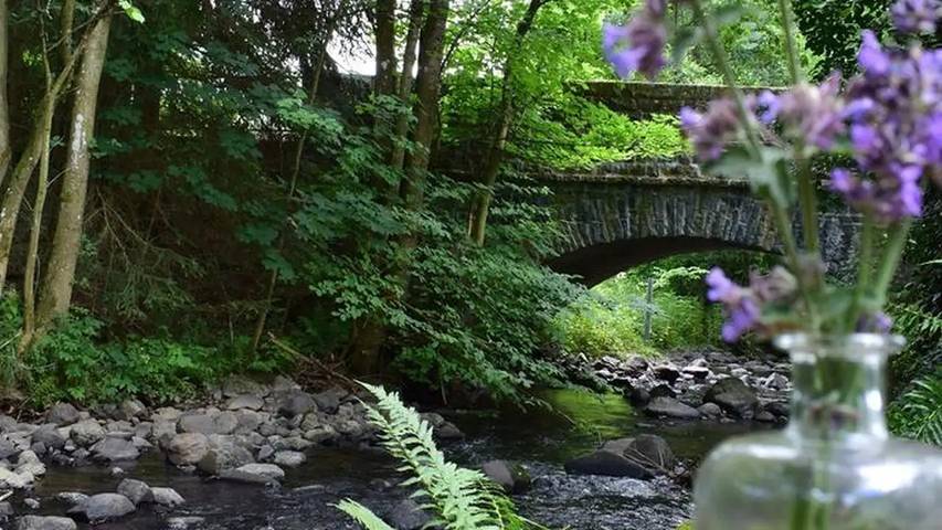 Ferienhaus für 8 Personen, mit Garten, mit Haustier im Westerwald - 4